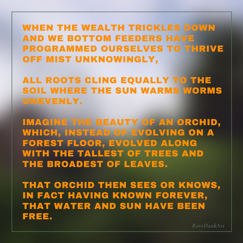 Mustard And Olive Chic Lifestyle Blogger Quote Social Media Graphics